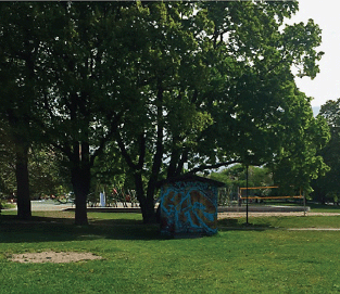 An English-style park with an empty lawn and a shed with graffiti.