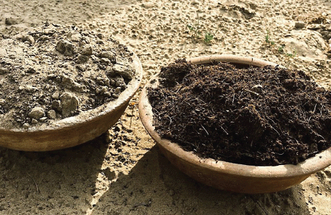 The left bowl contains pale yellowish soil that looks like sand. The right bowl contains dark brown soil rich in texture.