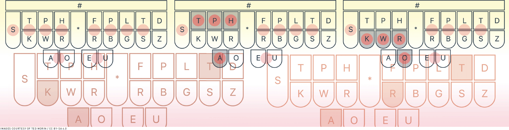 An artistic image depicting key diagrams of steno keyboards adjacent to and overlapping with one another